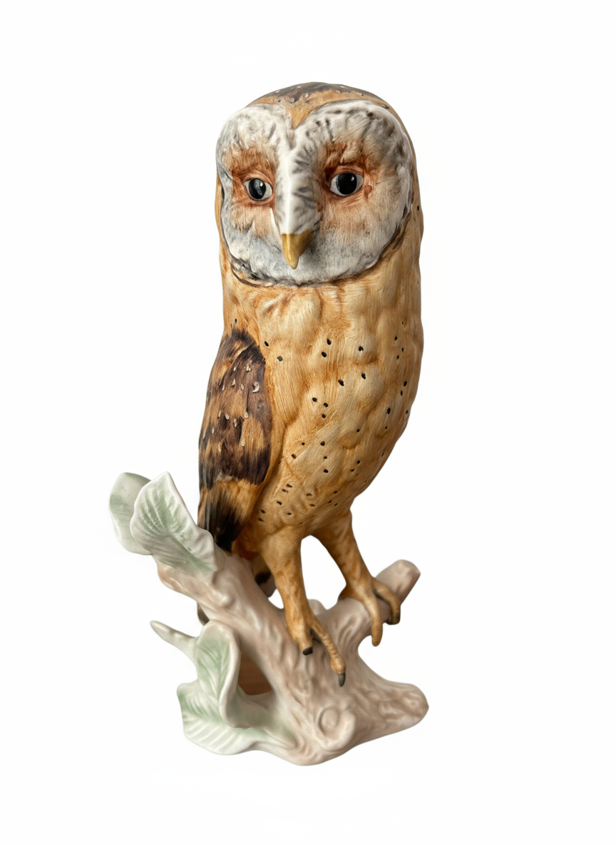 Barn Owl - Image 1