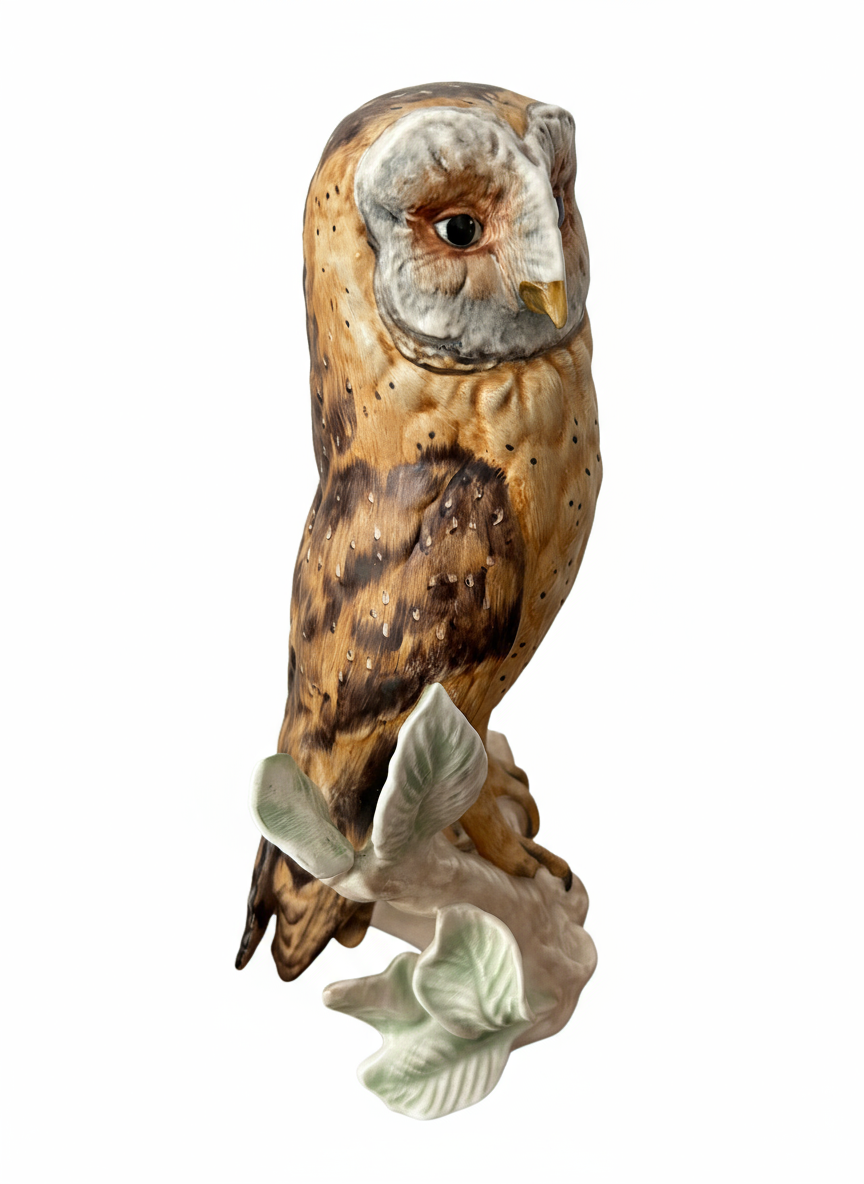 Barn Owl - Image 2