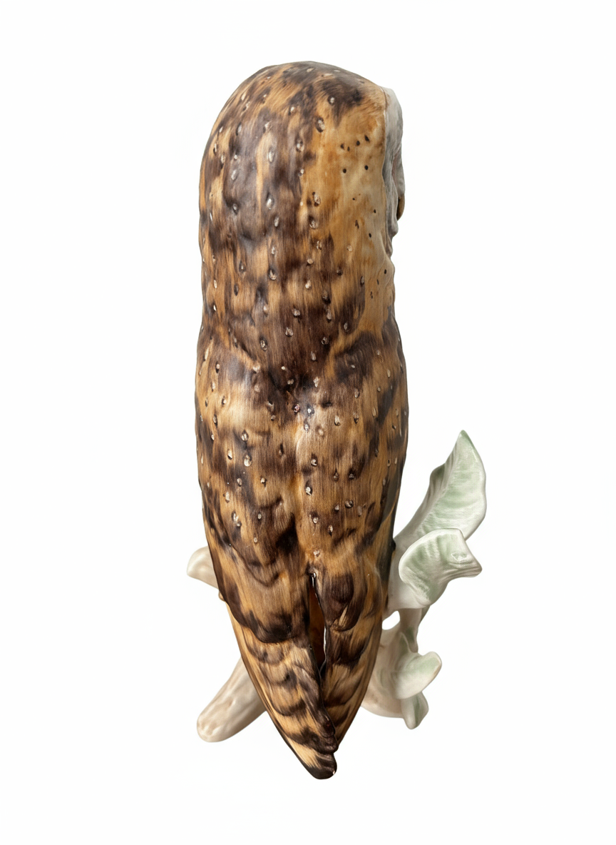 Barn Owl - Image 3