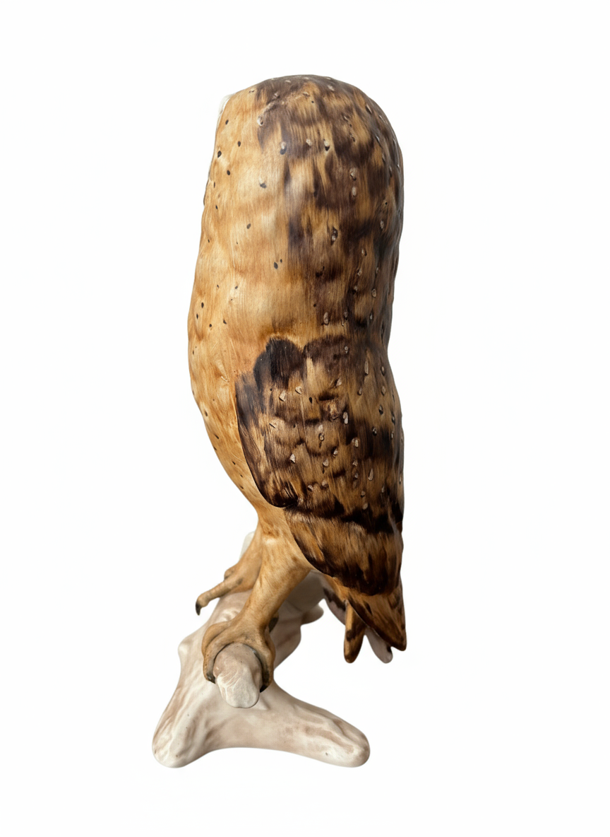 Barn Owl - Image 4